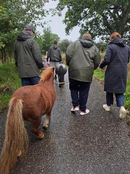 Family walking with ponies.