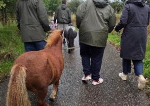 Family walking with ponies.